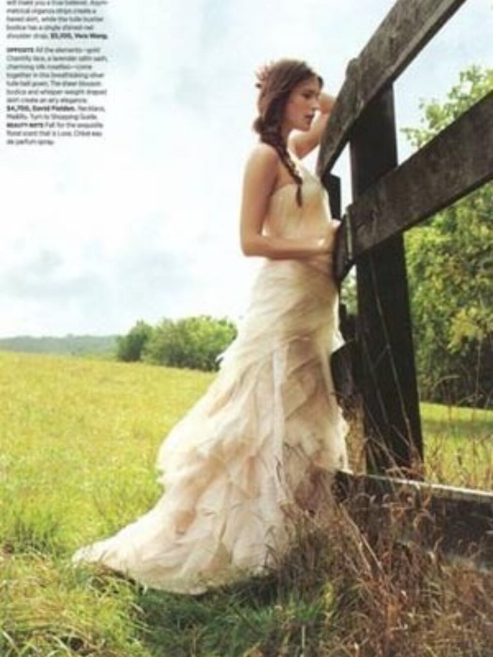 Vera Wang Farrah Ivory Gossip Girl Wedding Bridal Tulle Gown - Picture 3 of 16